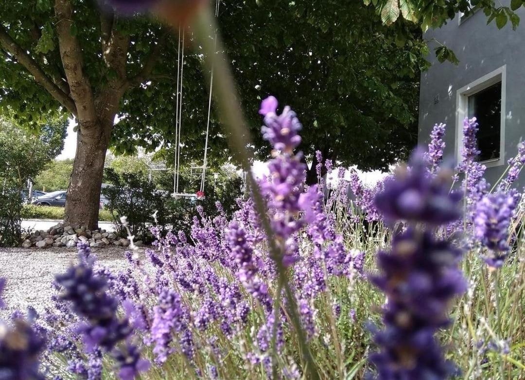 Cosyplace; Close To Beach, Nature, Train, Grocery Kopingebro Exterior foto