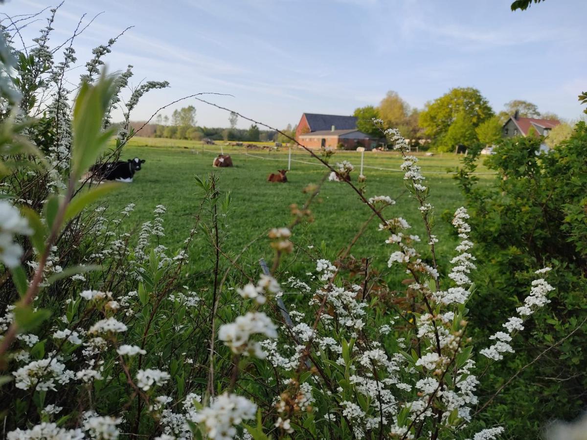 Cosyplace; Close To Beach, Nature, Train, Grocery Kopingebro Exterior foto